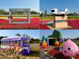 【2026桃園彩色海芋季】時間地點/門票/活動/交通,溪海農業區登場!