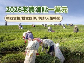 【2026農業部老農津貼】一萬領取資格/排富條件/申請/入帳時間一次看!