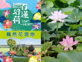 【2026桃園蓮花季】時間地點/花況/活動/交通,觀音蓮花園登場!