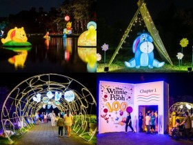 【2026嘉義光織影舞】時間地點/活動/市集/交通,免費光影藝術展登場!