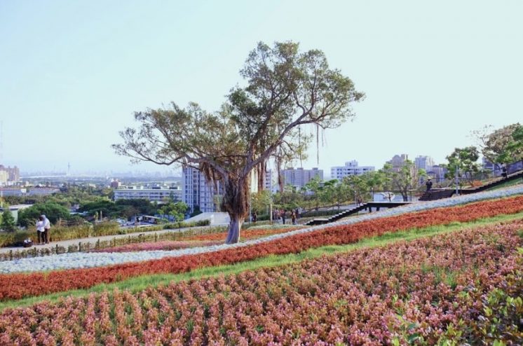 北投社三層崎公園7