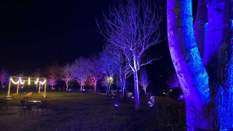 2022夜遊慈湖-染色燈