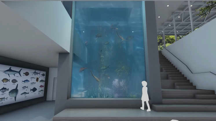 基隆潮境智能海洋館-觀賞缸-海藻