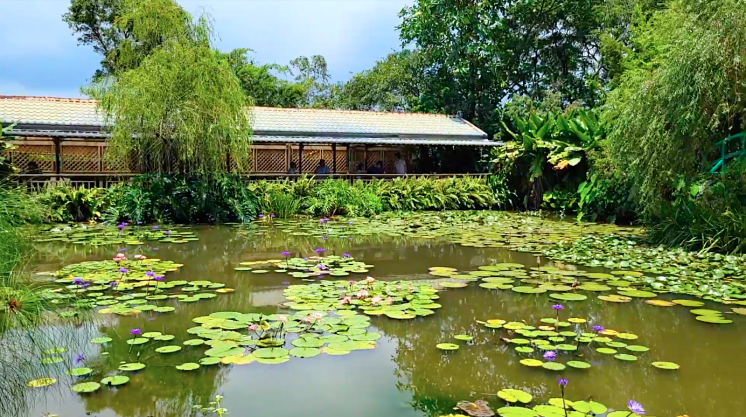 桃園-莫內的花園