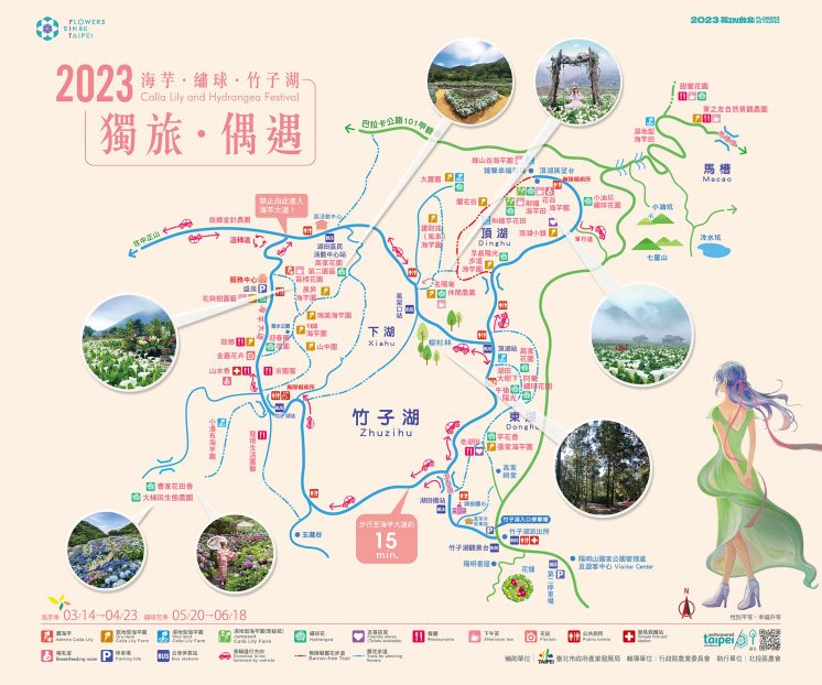 竹子湖繡球花地圖