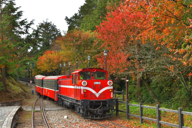 阿里山小火車