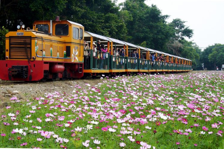 台糖五分車