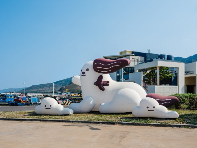 海口港_白色大狗