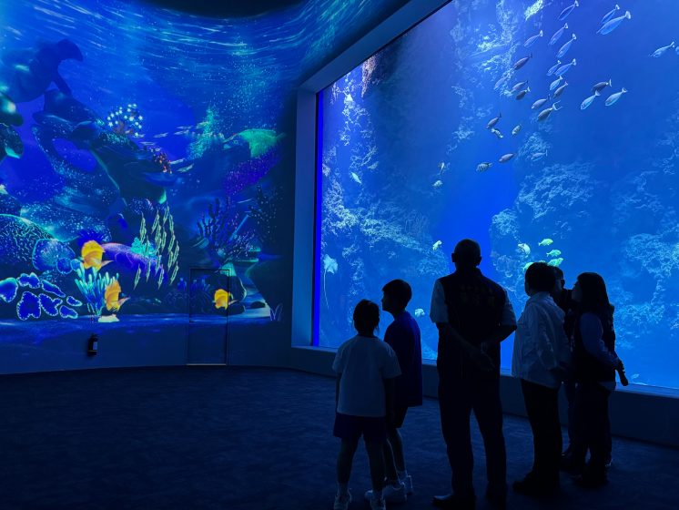 台中海洋館_黑潮之海大洋缸展示缸
