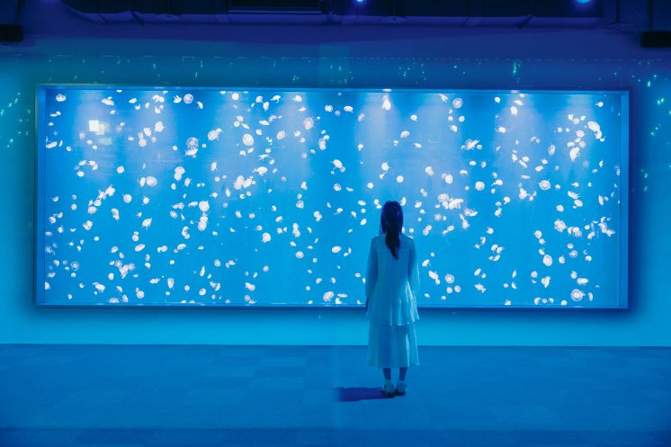 台中海洋館水母展示區
