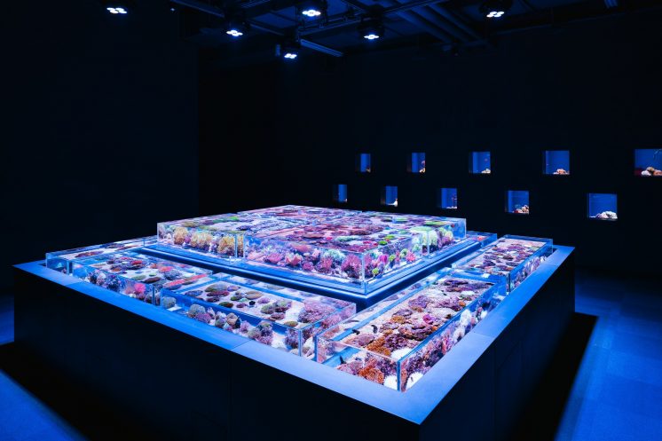台中海洋館展區