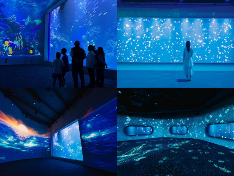台中海洋館