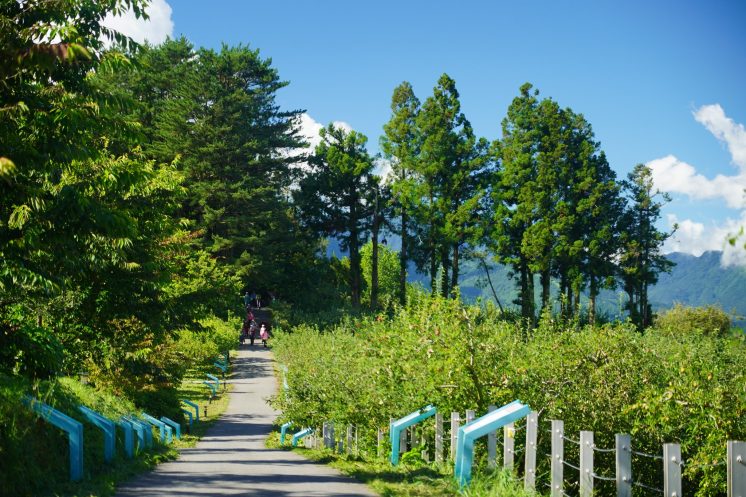 福壽山農場