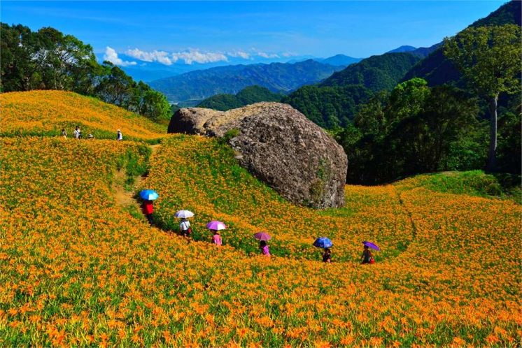 赤科山千噸石龜