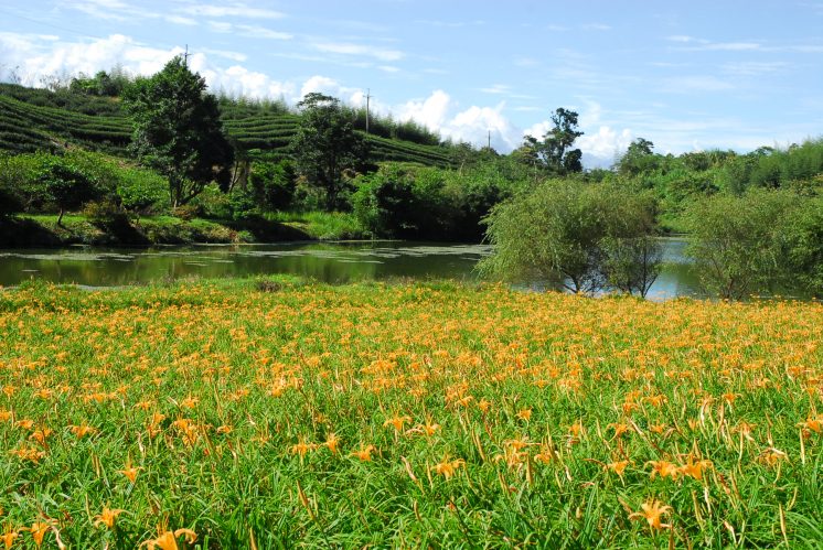 赤科山竹林湖