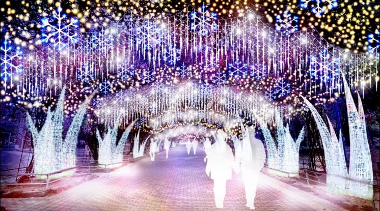 2025屏東聖誕節_光之森林