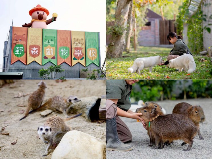 野森動物學校