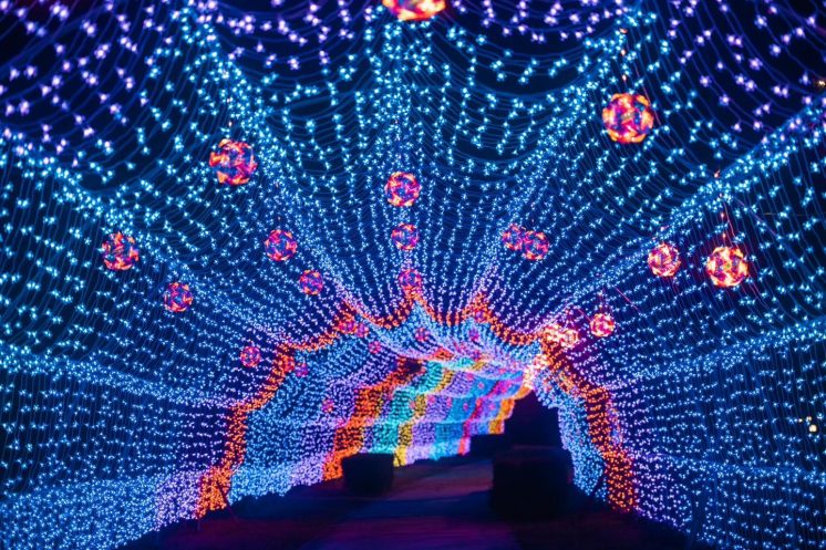 屏東燈節_縣民公園燈區