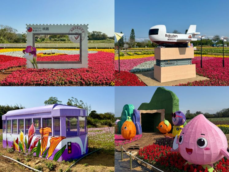 2026桃園彩色海芋季