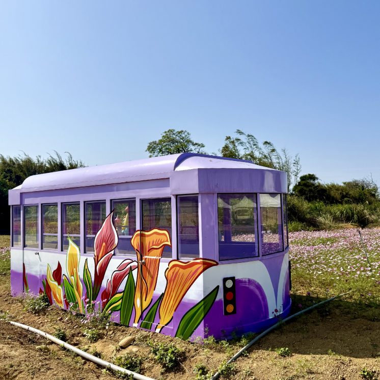 2026桃園彩色海芋季實景照