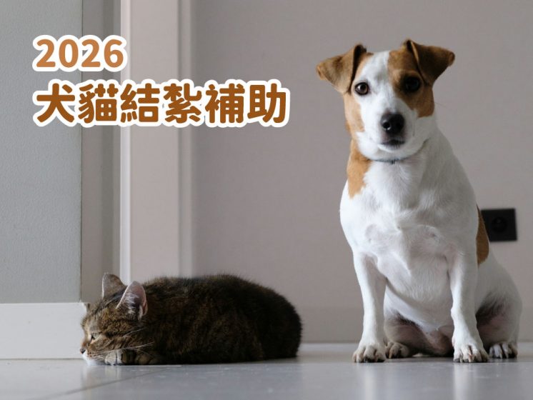 2026犬貓結紮補助