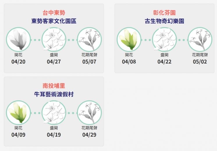 2026油桐花開花時間