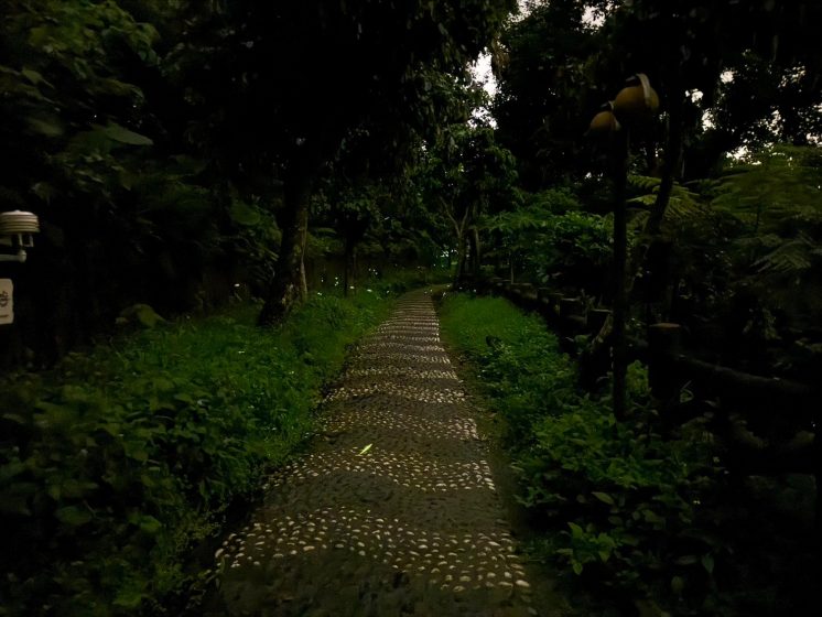 屈尺國小螢火蟲