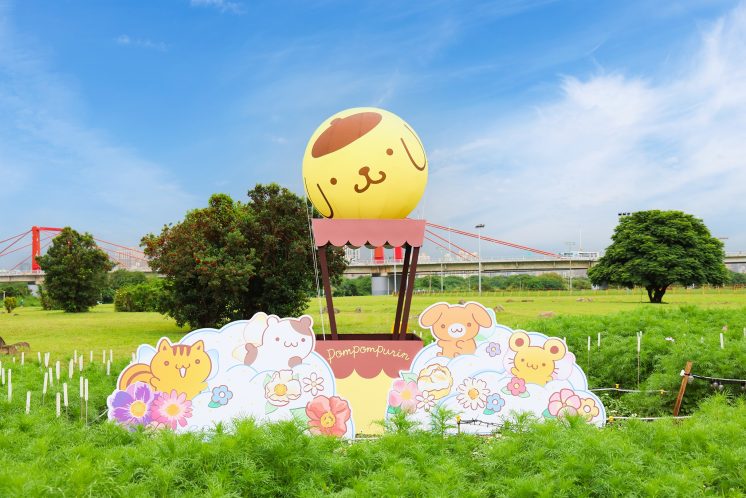 新北河濱蝶戀季
