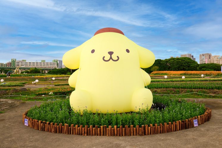 2026新北河濱蝶戀季