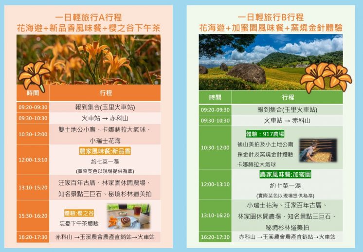 花蓮金針花_賞花專車